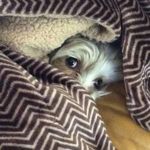 Meet your Posher, Suzanne